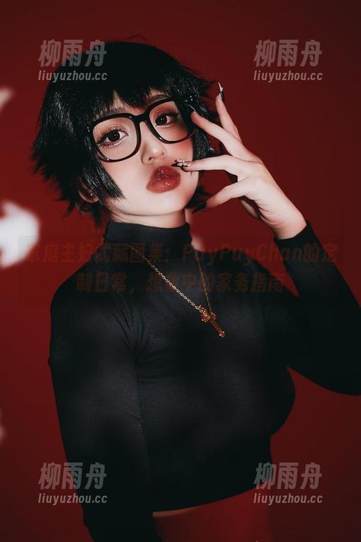 PuyPuyChan 家庭主妇武藏图集:PuyPuyChan的定制日常,想象中的家务指南