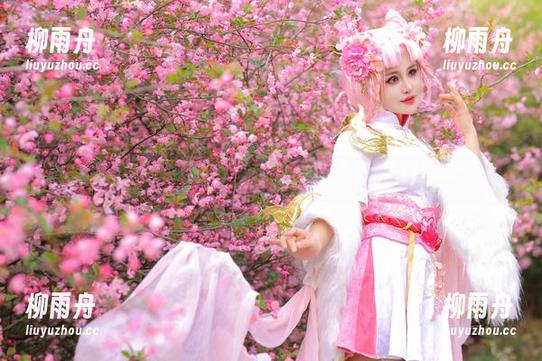 桃暖酱的厨房恩仇录：一份作品集，让你疯狂下载！